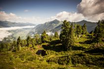 Der Zirbenweg am Graukogel mit beeindruckender Aussicht. • © Gasteinertal Tourismus GmbH